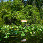 personal injury lawyer alaqua lakes fl